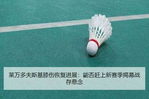 lai-wan-duo-fu-si-ji-xi-shang-hui-fu-jin-zhan-neng-fou-gan-shang-xin-sai-ji-jie-mu-zhan-cun-xuan-nian-2-909.jpg
