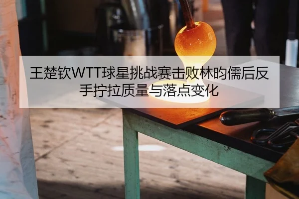 王楚钦WTT球星挑战赛击败林昀儒后反手拧拉质量与落点变化