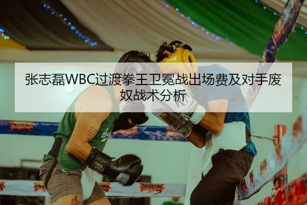 张志磊WBC过渡拳王卫冕战出场费及对手废奴战术分析